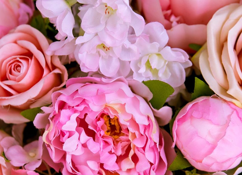 maiflor rijnsburg Rosen Pfingstrosen