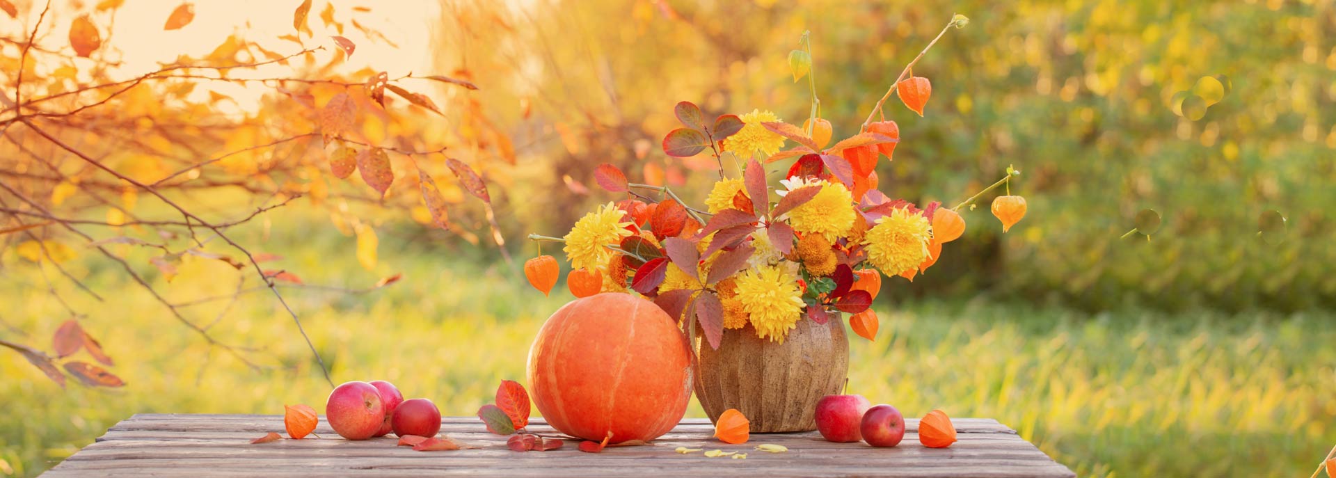 maiflor herfst sierfruit pompoen Herbst-Zierobst-Kürbis